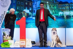 Luka Klubowa Nordyckich Poznań 8.11.2024